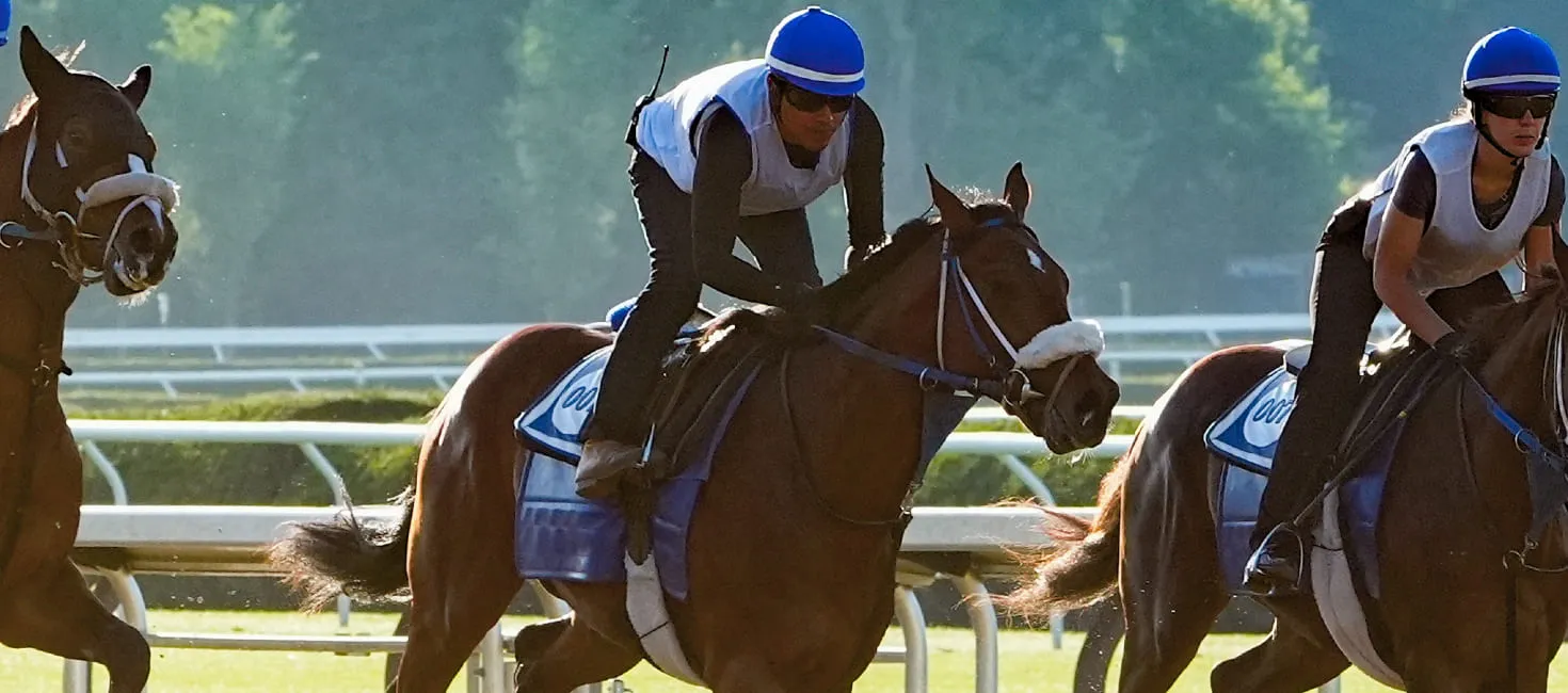 2024 Belmont Stakes Best Exotic Bets, Picks & Predictions BettingPros