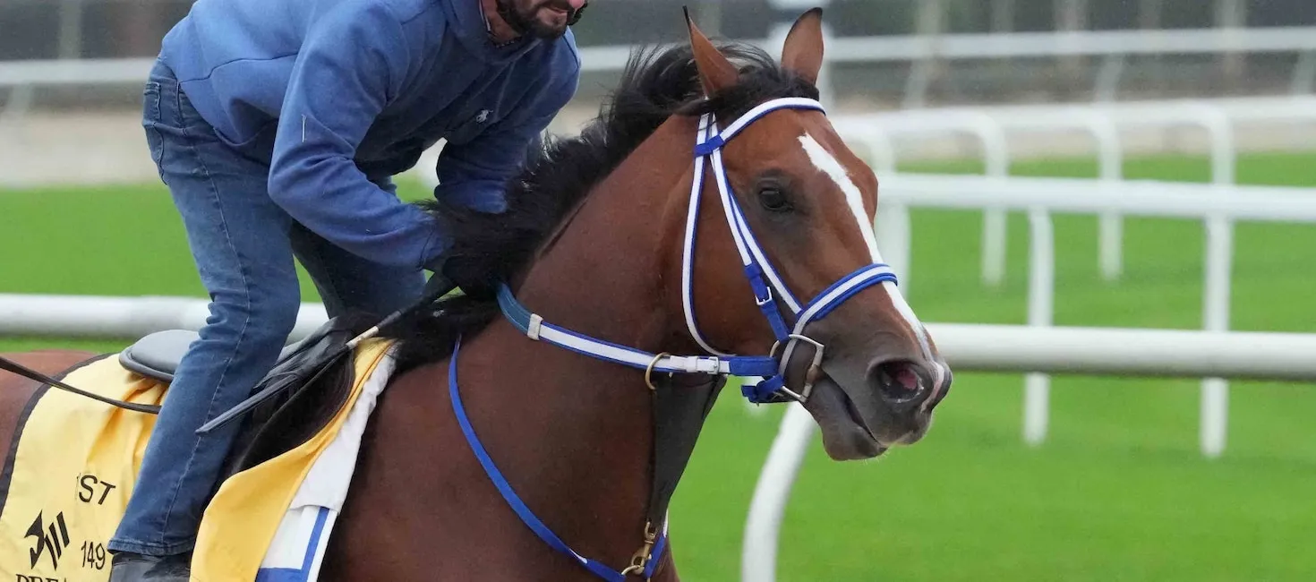 2024 Preakness Stakes Mystik Dan Odds, Picks & Predictions BettingPros