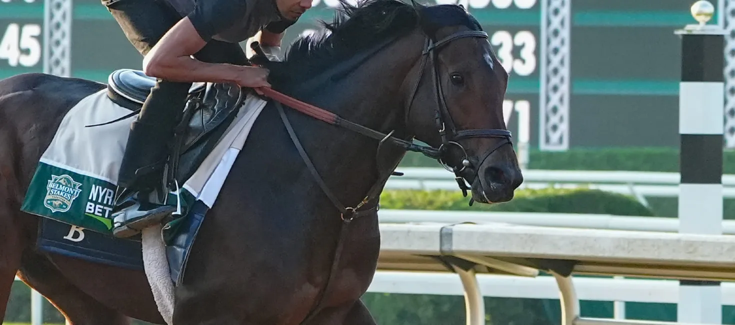 2025 Belmont Stakes Sierra Leone Odds, Picks & Predictions BettingPros