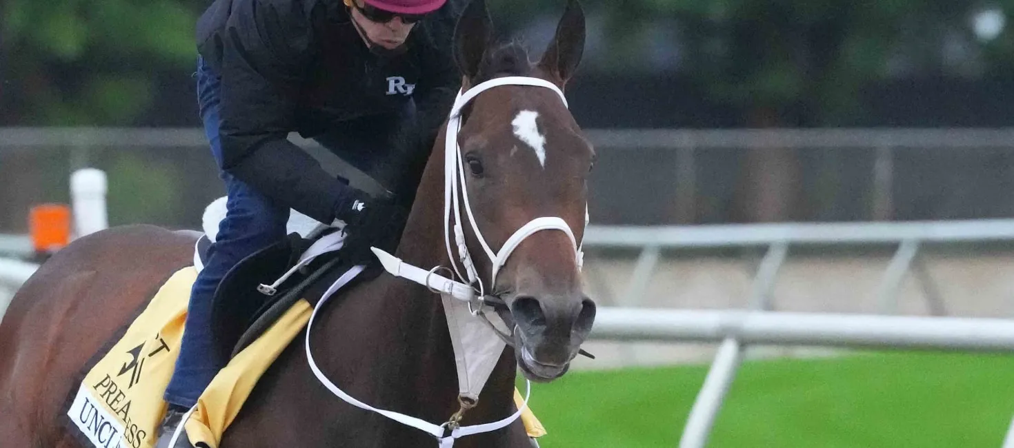 2024 Preakness Stakes Odds, Trends & Best Bets BettingPros