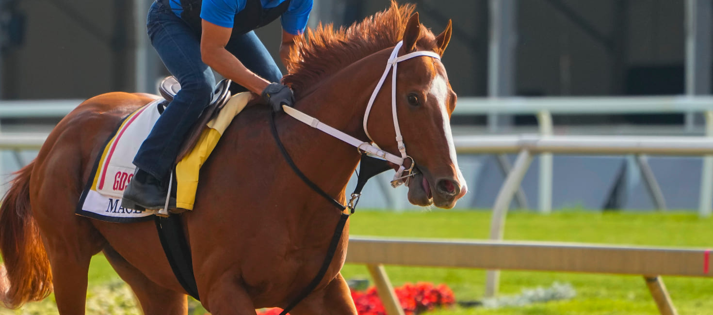 2023 Preakness Stakes Mage Odds Picks Predictions BettingPros