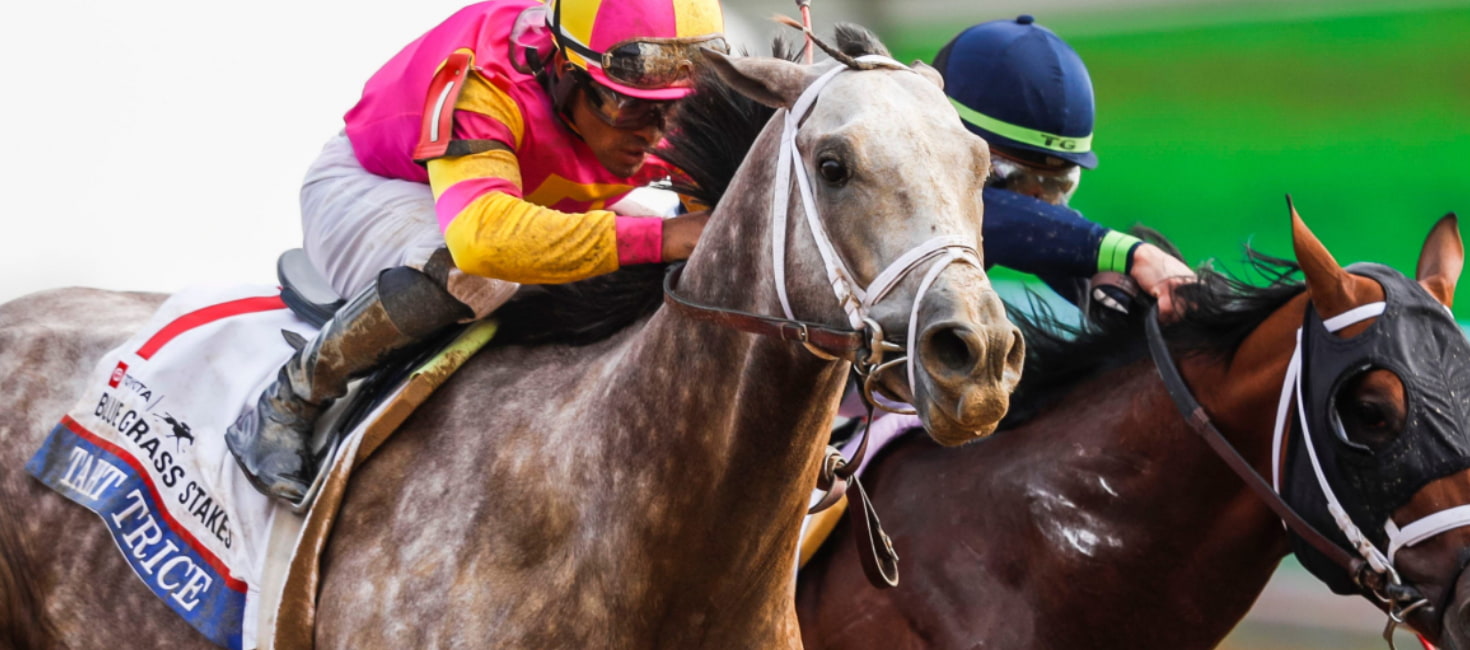 2023 Kentucky Derby Tapit Trice Odds, Picks & Predictions BettingPros